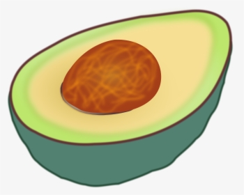 Detail Avocado Hintergrund Nomer 15