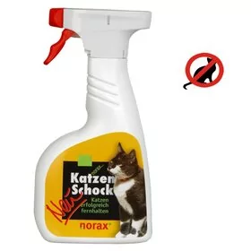 Detail Echte Katzen Bilder Nomer 17