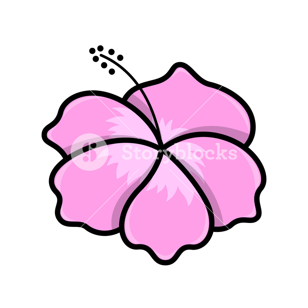 Detail Gambar Illustration Bunga Nomer 19
