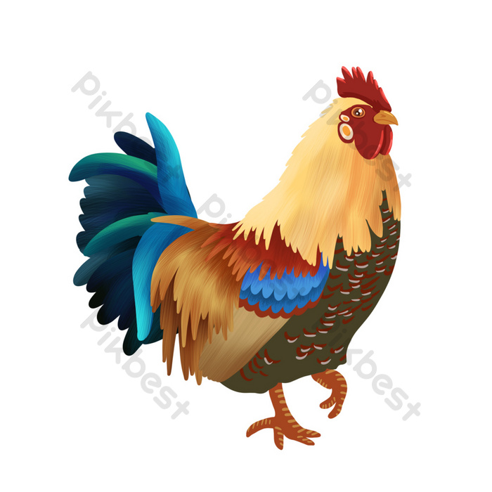 Detail Gambar Ilustrasi Ayam Nomer 52