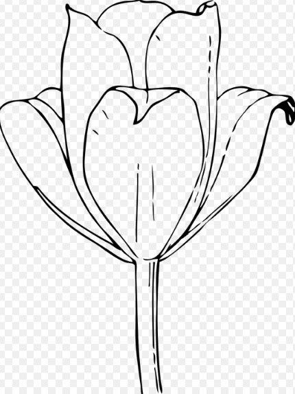 Detail Gambar Ilustrasi Bunga Bunga Nomer 33