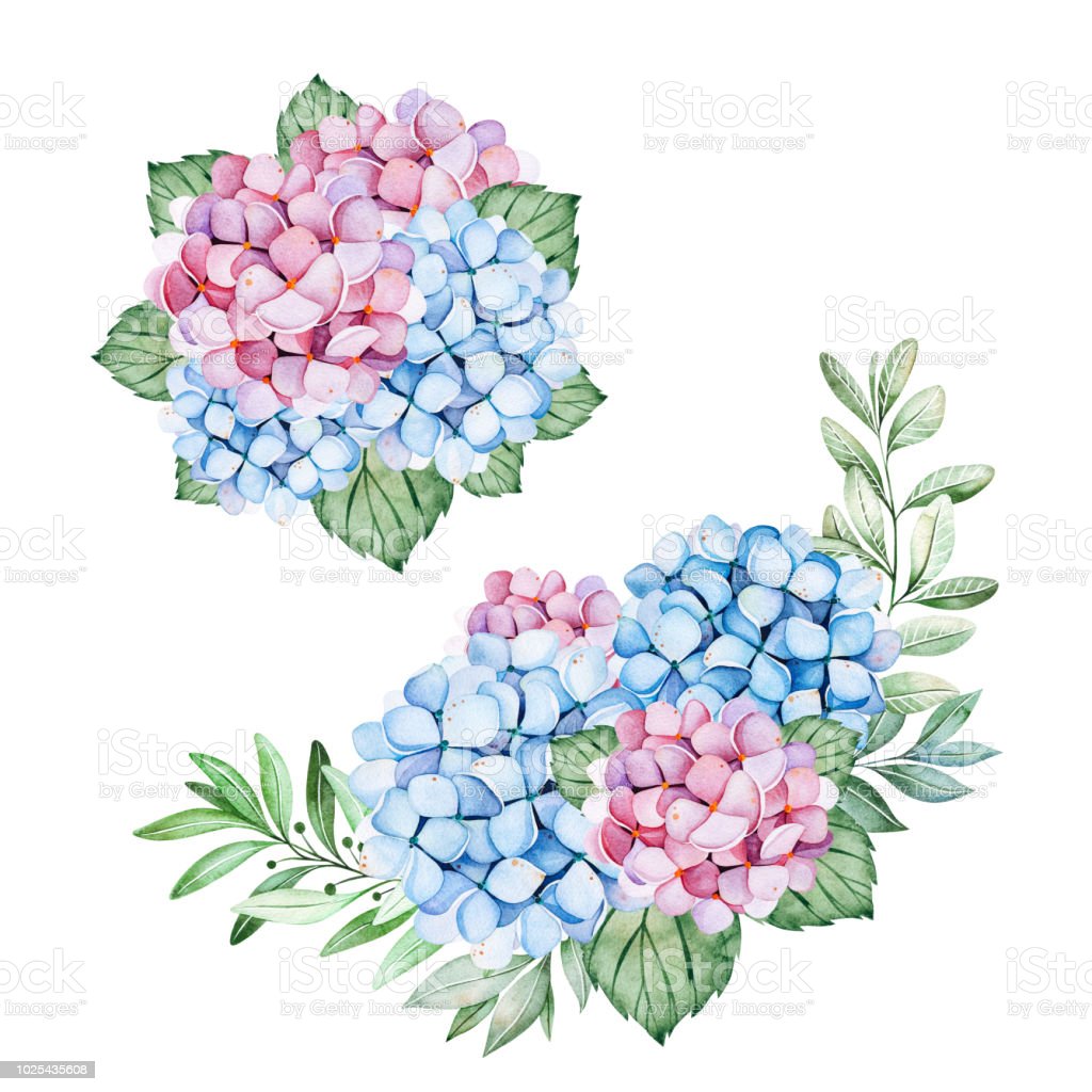 Detail Gambar Ilustrasi Bunga Indah Nomer 10