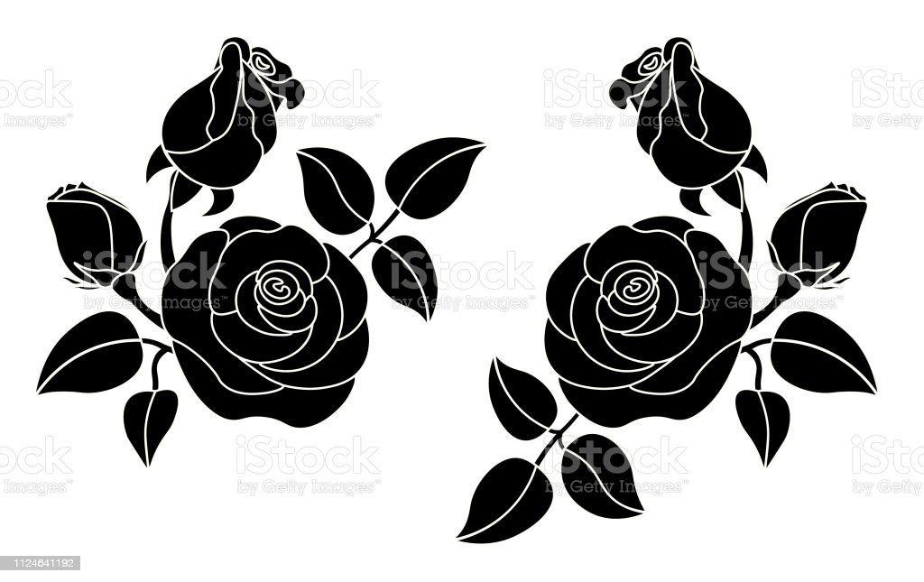 Detail Gambar Ilustrasi Bunga Mawar Hitam Putih Nomer 46