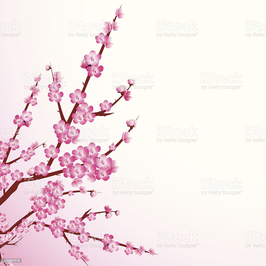 Detail Gambar Ilustrasi Bunga Sakura Nomer 21