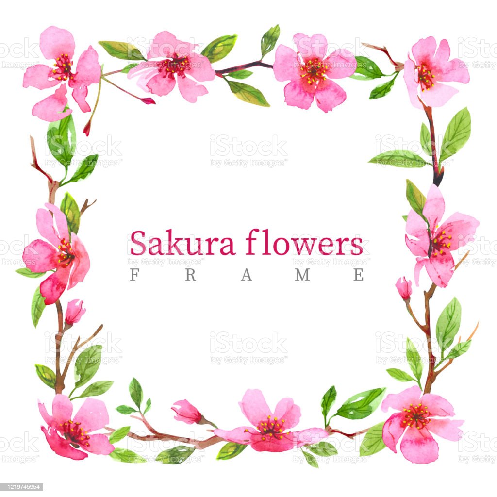 Detail Gambar Ilustrasi Bunga Sakura Nomer 26