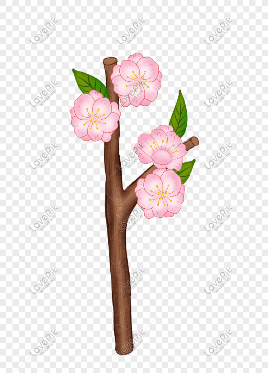 Detail Gambar Ilustrasi Bunga Sakura Nomer 38