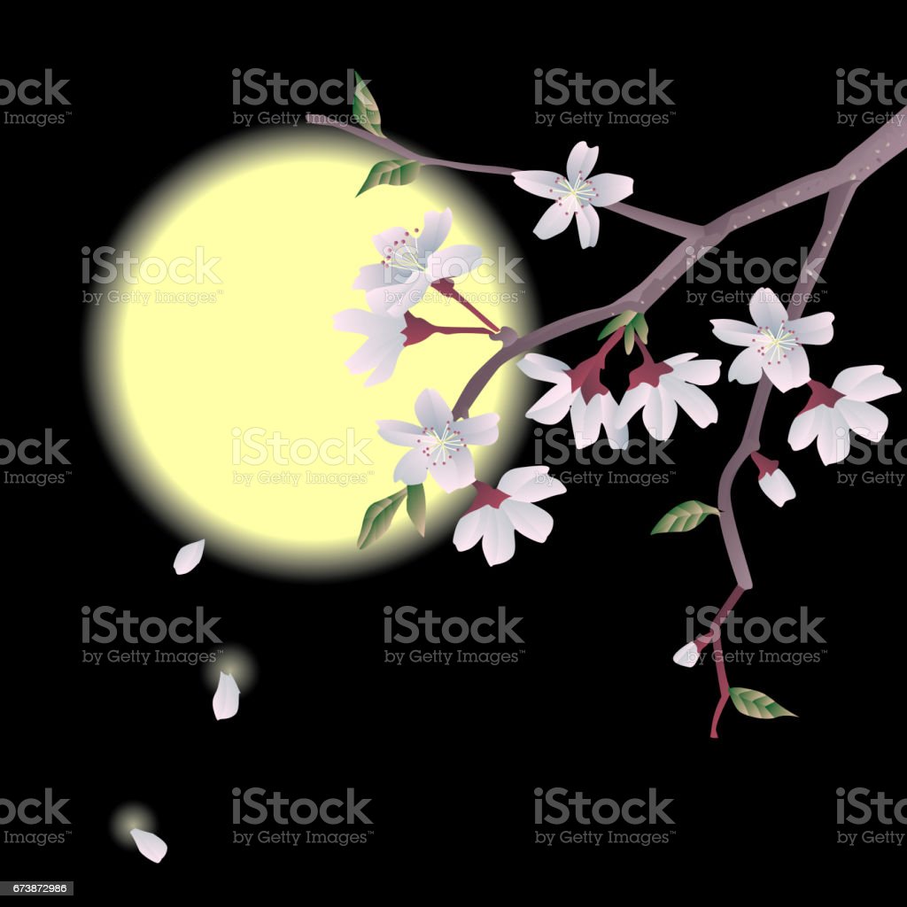Detail Gambar Ilustrasi Bunga Sakura Nomer 42