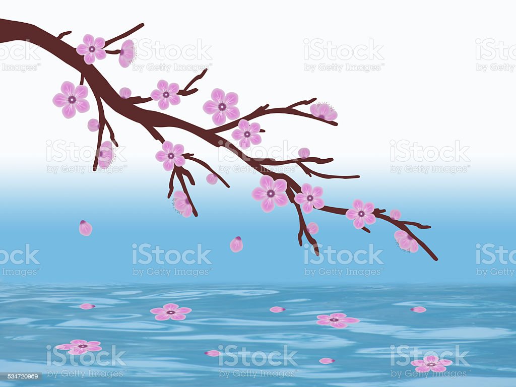 Detail Gambar Ilustrasi Bunga Sakura Nomer 52