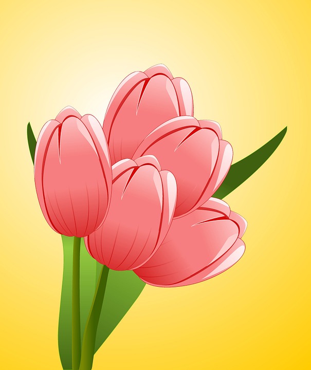 Detail Gambar Ilustrasi Bunga Tulip Nomer 14