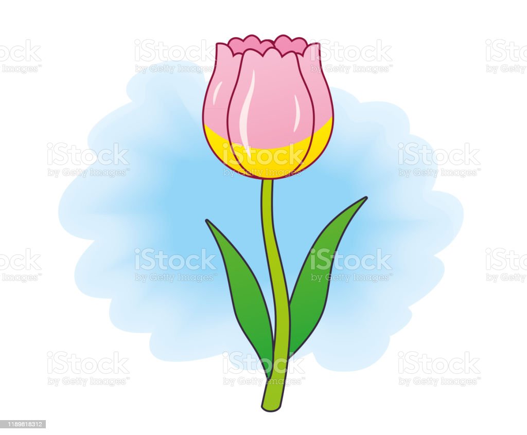 Detail Gambar Ilustrasi Bunga Tulip Nomer 19