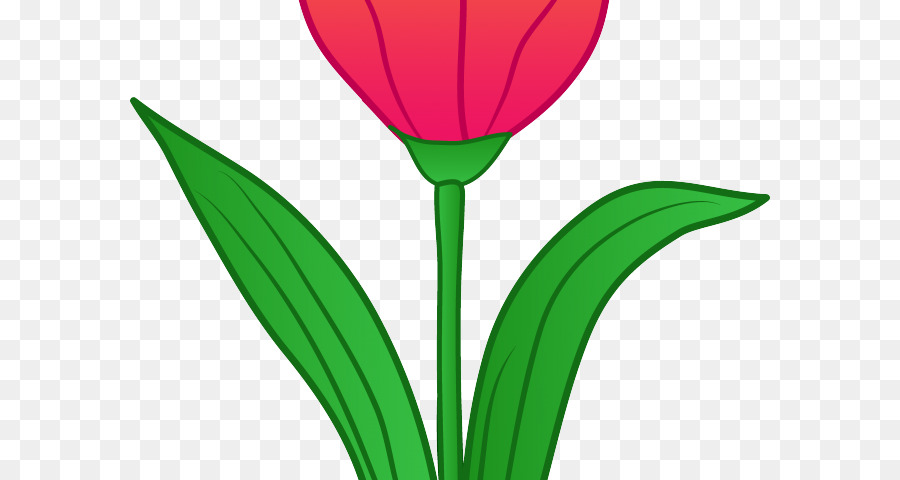 Detail Gambar Ilustrasi Bunga Tulip Nomer 26