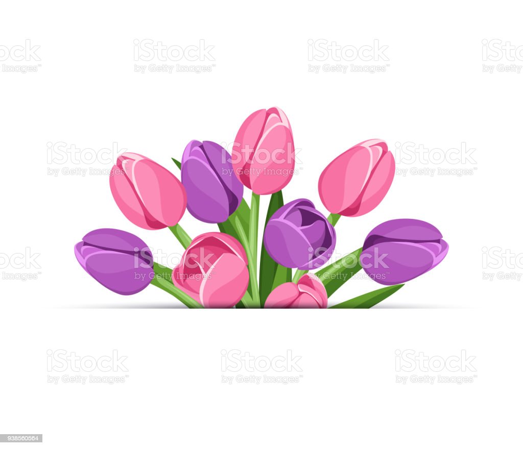 Detail Gambar Ilustrasi Bunga Tulip Nomer 48