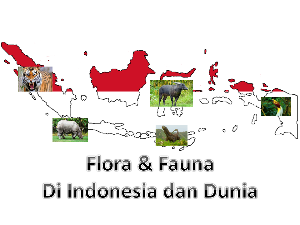 Detail Gambar Ilustrasi Flora Dan Fauna Nomer 44