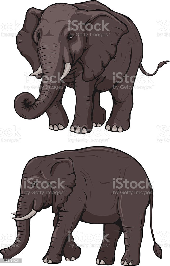 Detail Gambar Ilustrasi Gajah Nomer 19