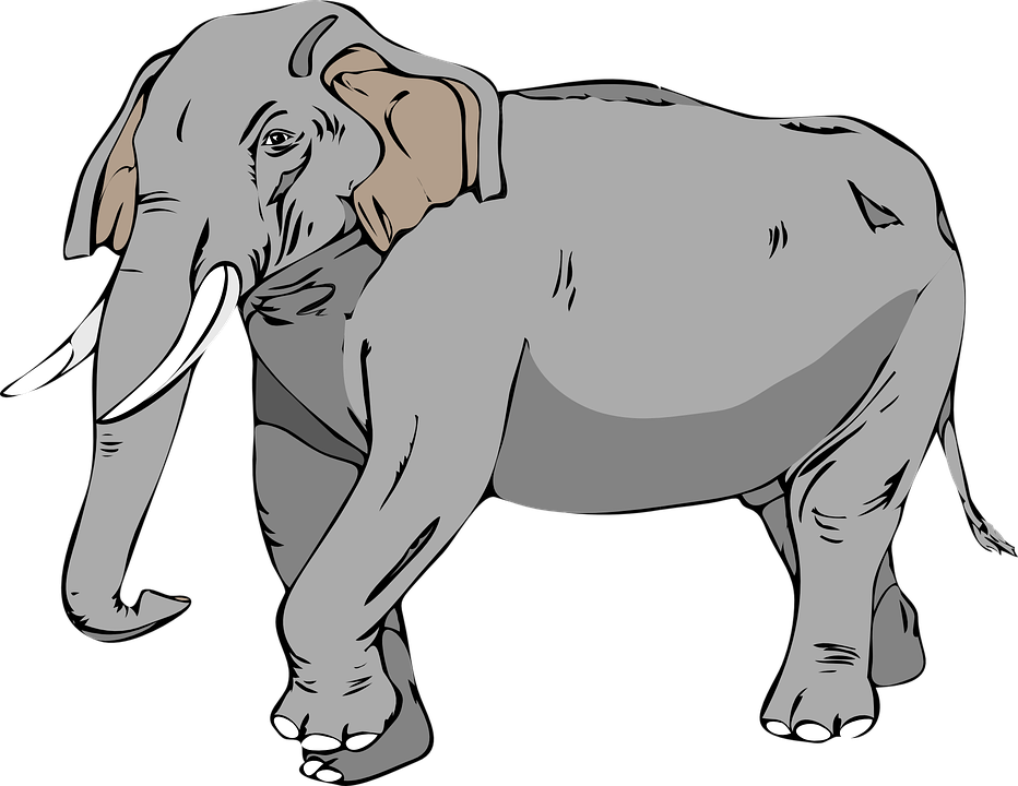 Detail Gambar Ilustrasi Gajah Nomer 34