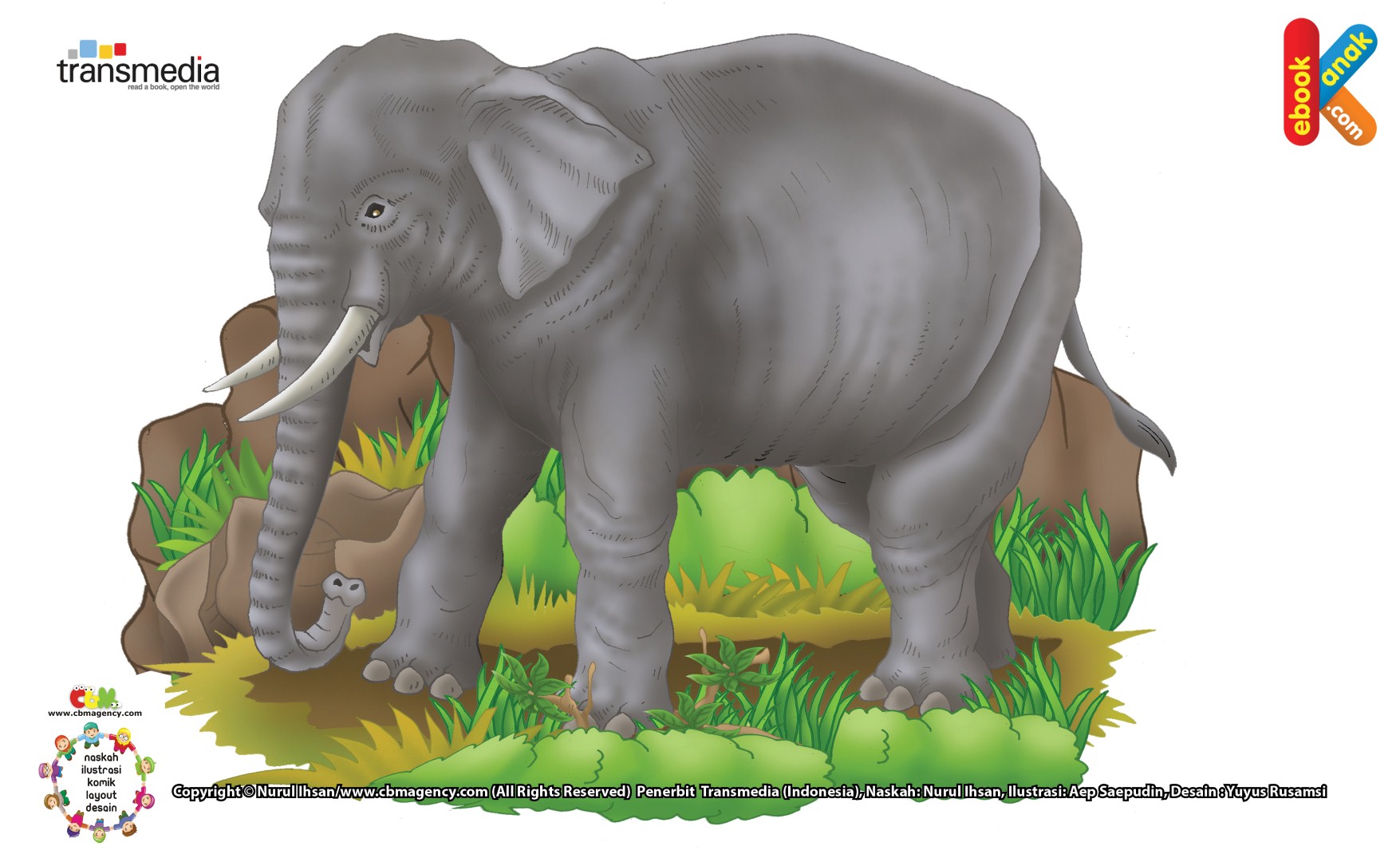 Detail Gambar Ilustrasi Gajah Nomer 43