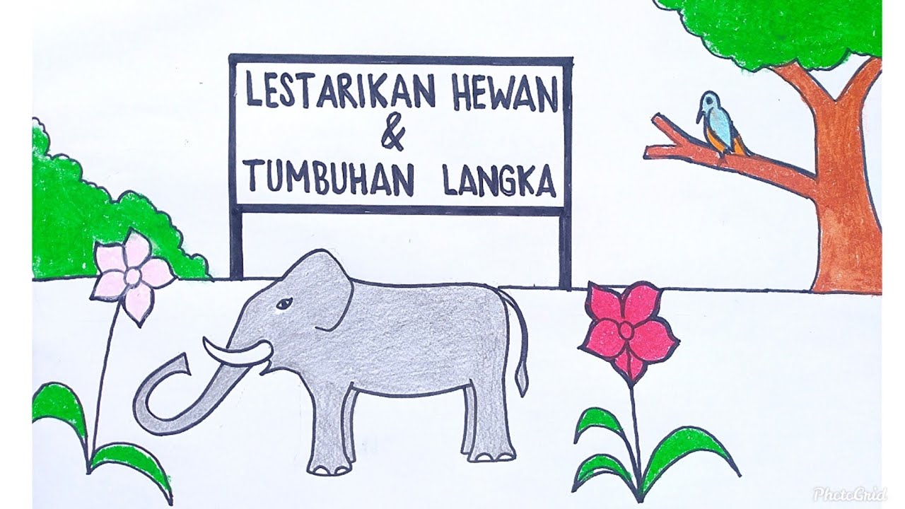 Detail Gambar Ilustrasi Hewan Dan Tumbuhan Nomer 52