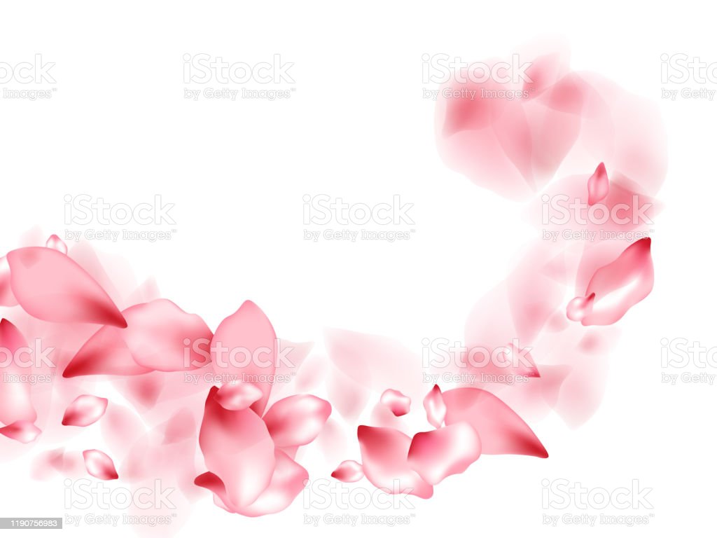 Detail Gambar Ilustrasi Kelopak Bunga Nomer 51