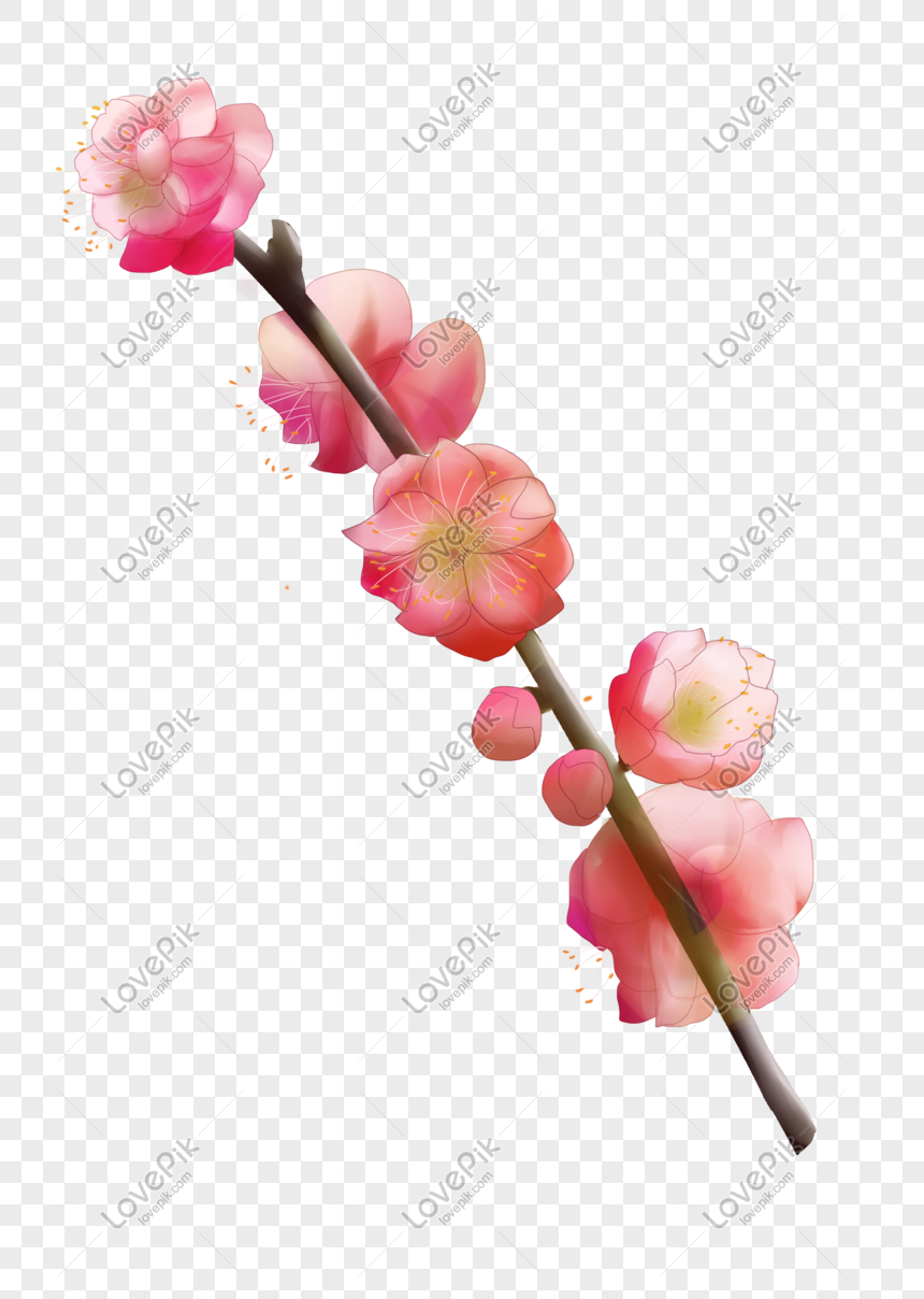 Detail Gambar Ilustrasi Kelopak Bunga Nomer 10