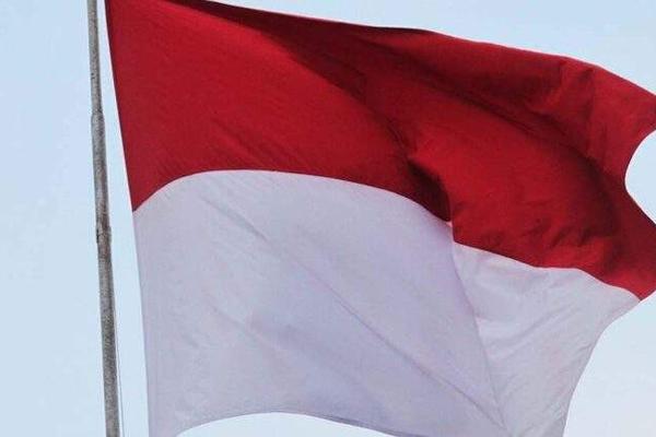 Detail Gambar Ilustrasi Kibar Bendera Merah Putih Nomer 23