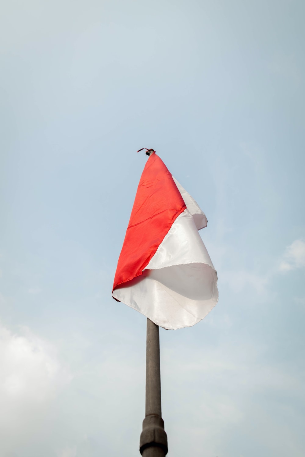 Detail Gambar Ilustrasi Kibar Bendera Merah Putih Nomer 54