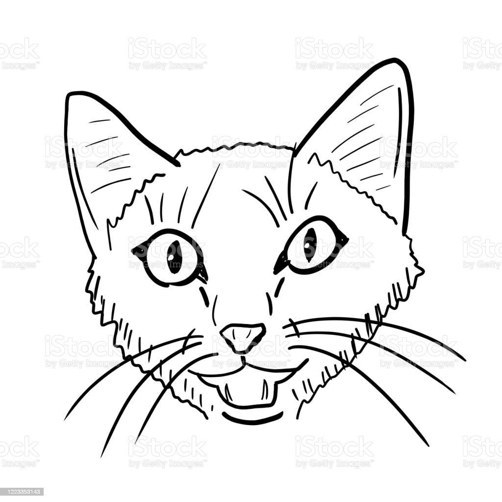 Detail Gambar Ilustrasi Kucing Nomer 21