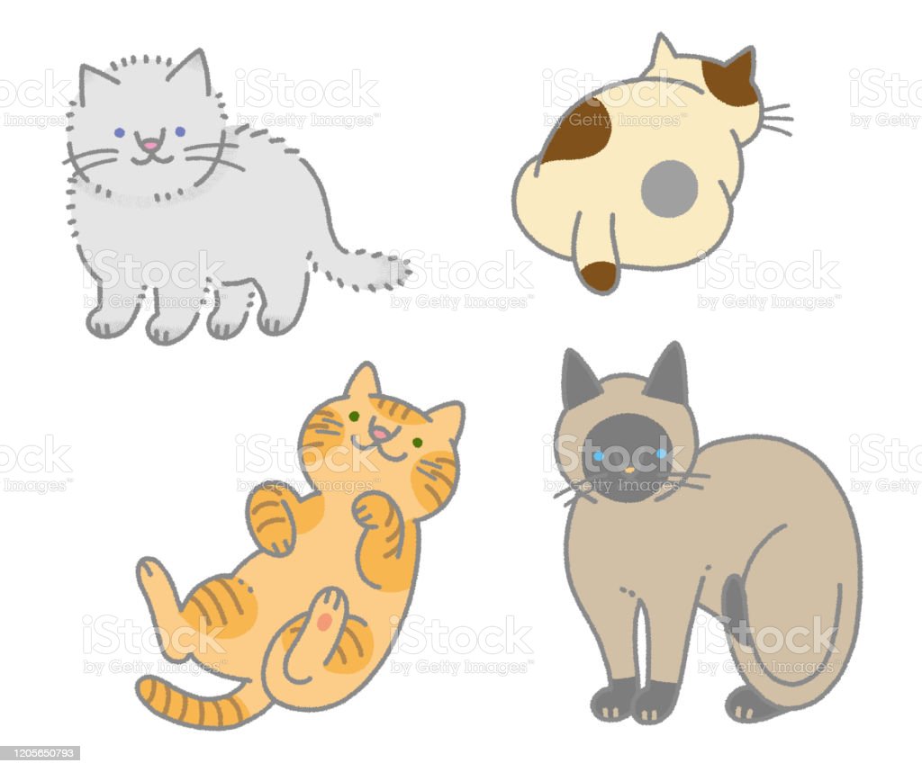 Detail Gambar Ilustrasi Kucing Nomer 26