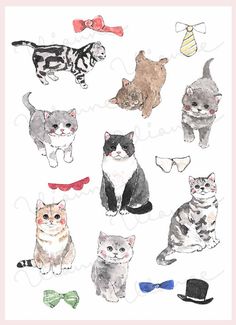 Detail Gambar Ilustrasi Kucing Nomer 36