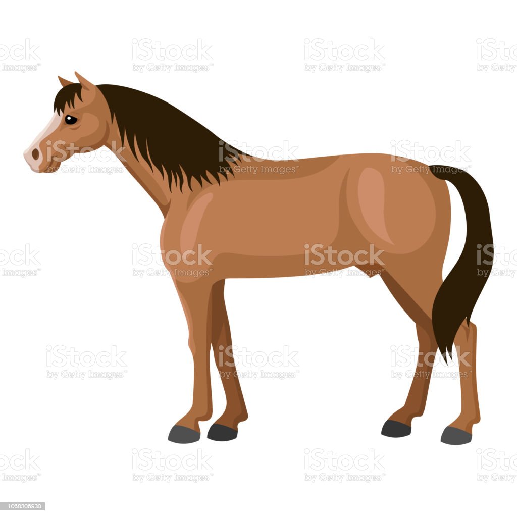 Detail Gambar Ilustrasi Kuda Nomer 12