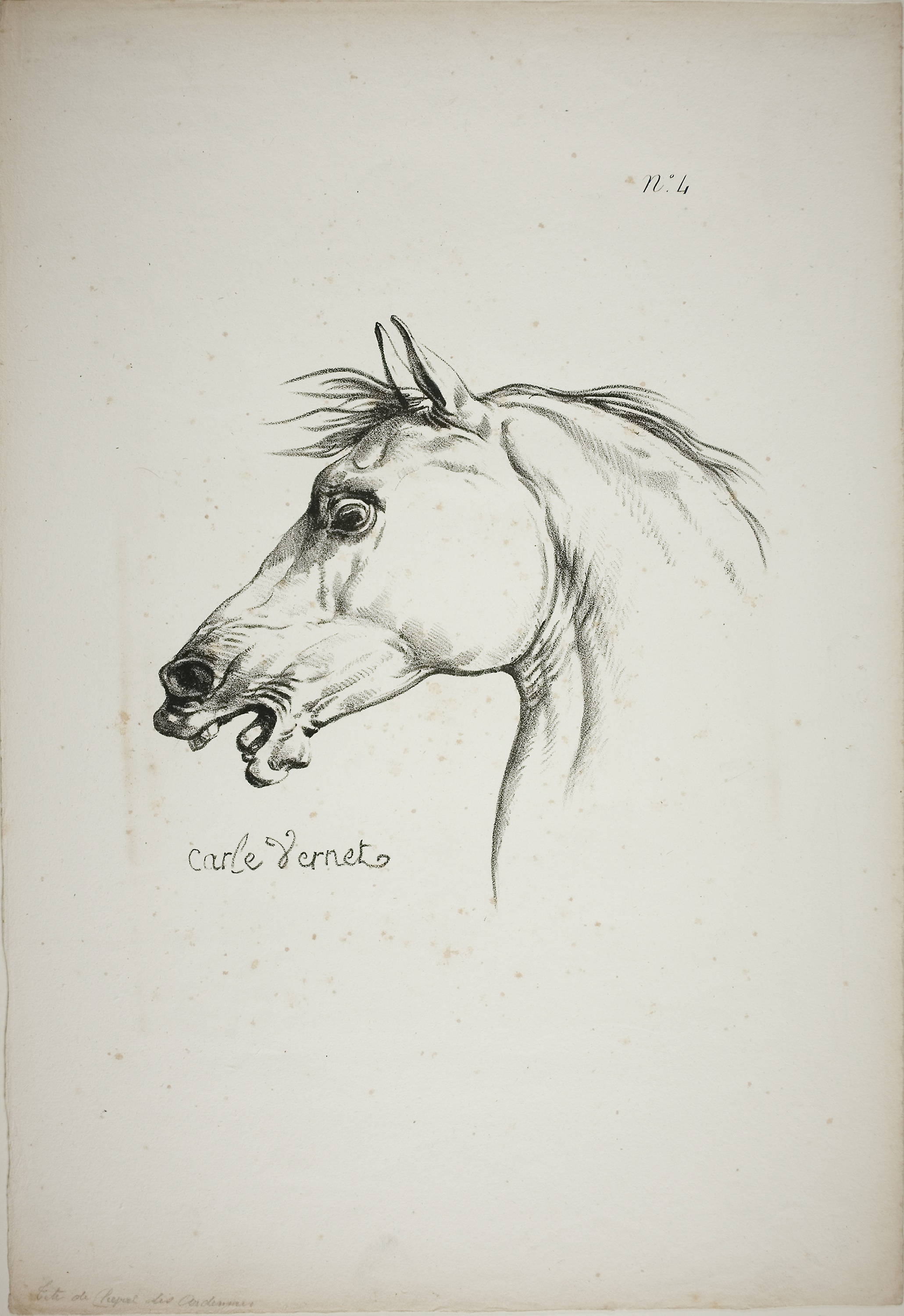 Detail Gambar Ilustrasi Kuda Nomer 49