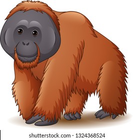 Detail Gambar Ilustrasi Orang Utan Nomer 18