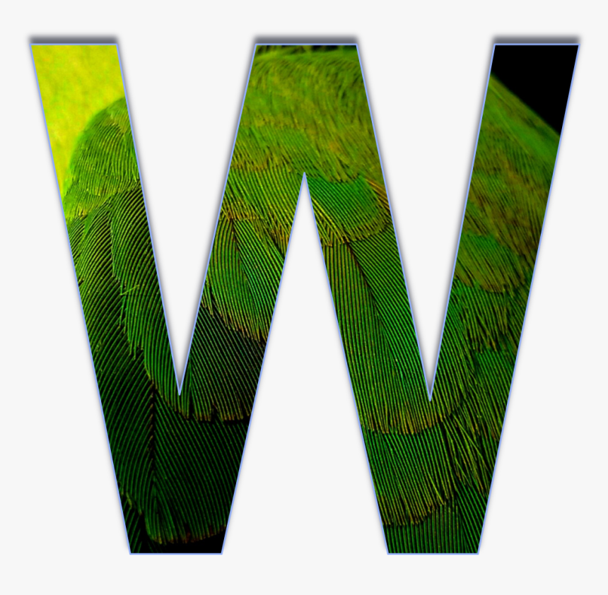 Detail Letter W 3d Nomer 4