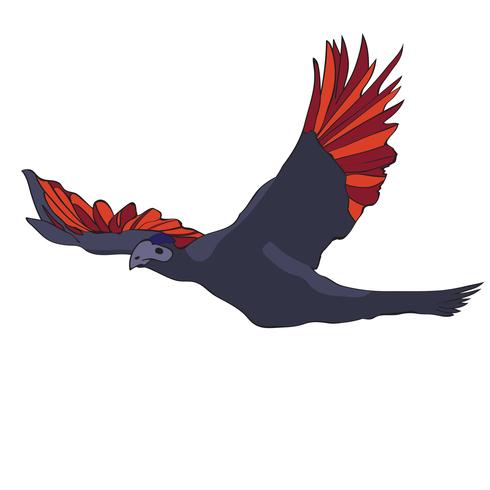 Detail Roter Vogel Nomer 10