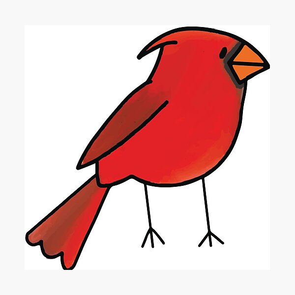 Detail Roter Vogel Nomer 9