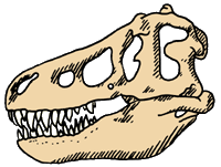 Detail T Rex Kopf Nomer 21