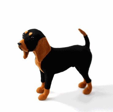 Detail Black And Tan Beagle Nomer 16