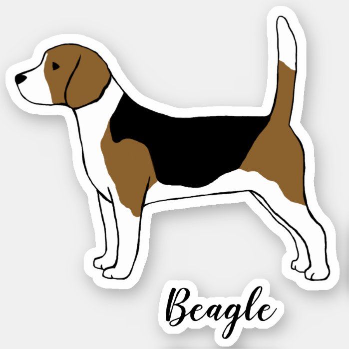 Detail Black And Tan Beagle Nomer 21