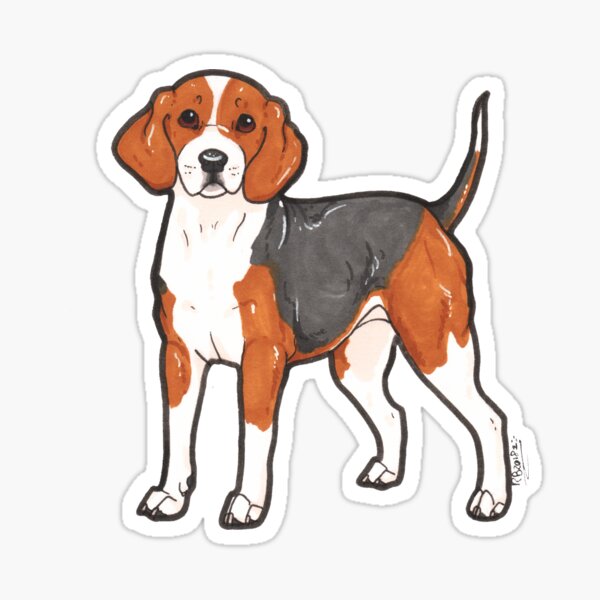 Detail Black And Tan Beagle Nomer 6