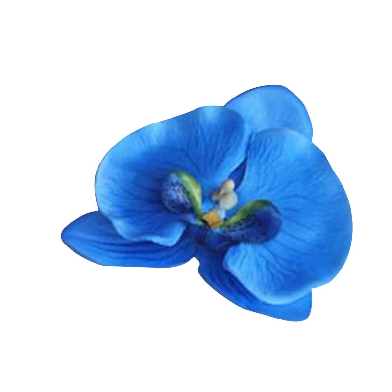 Detail Blut Orchidee Blume Nomer 27