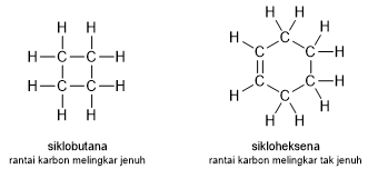 Detail Contoh Hidrokarbon Jenuh Nomer 10