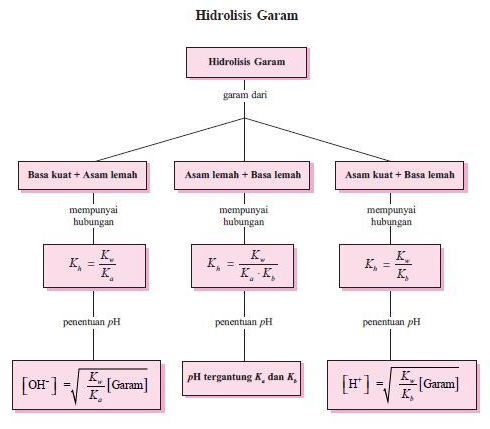 Detail Contoh Hidrolisis Garam Nomer 20