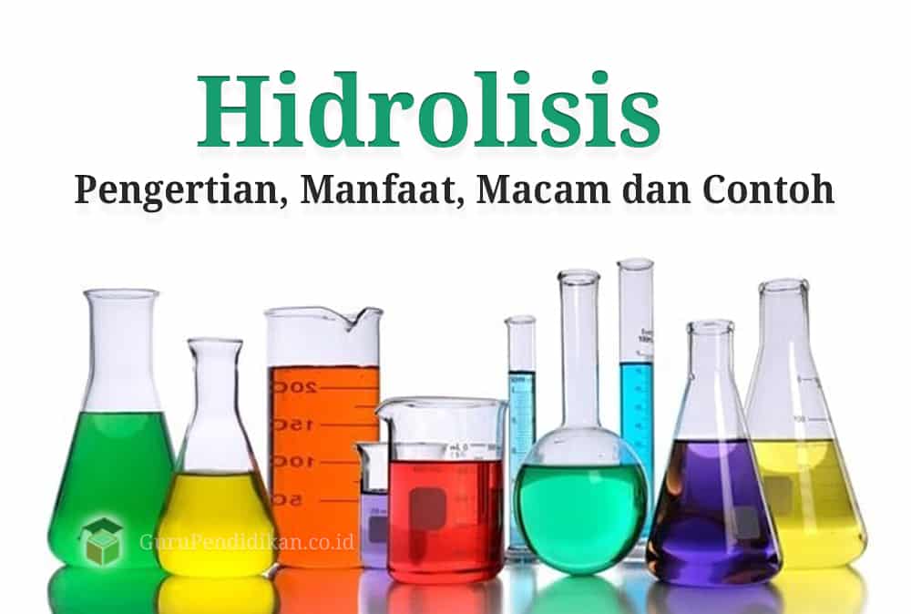 Detail Contoh Hidrolisis Garam Nomer 41