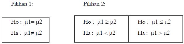 Detail Contoh Hipotesis Statistik Nomer 31