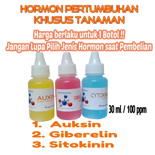 Detail Contoh Hormon Sitokinin Nomer 52