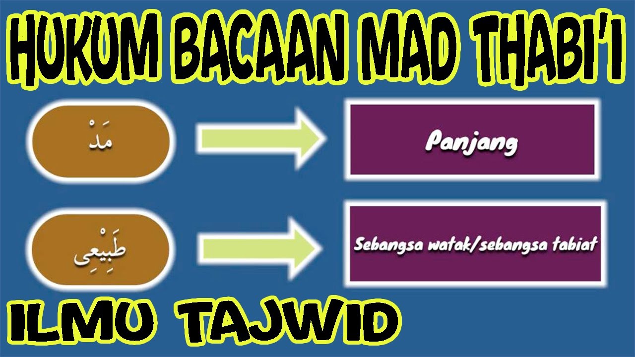 Detail Contoh Hukum Bacaan Mad Thobi I Nomer 43