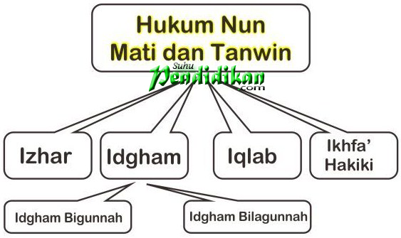 Detail Contoh Hukum Tajwid Ikhfa Nomer 31