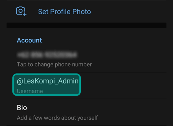 Detail Contoh Id Telegram Nomer 9