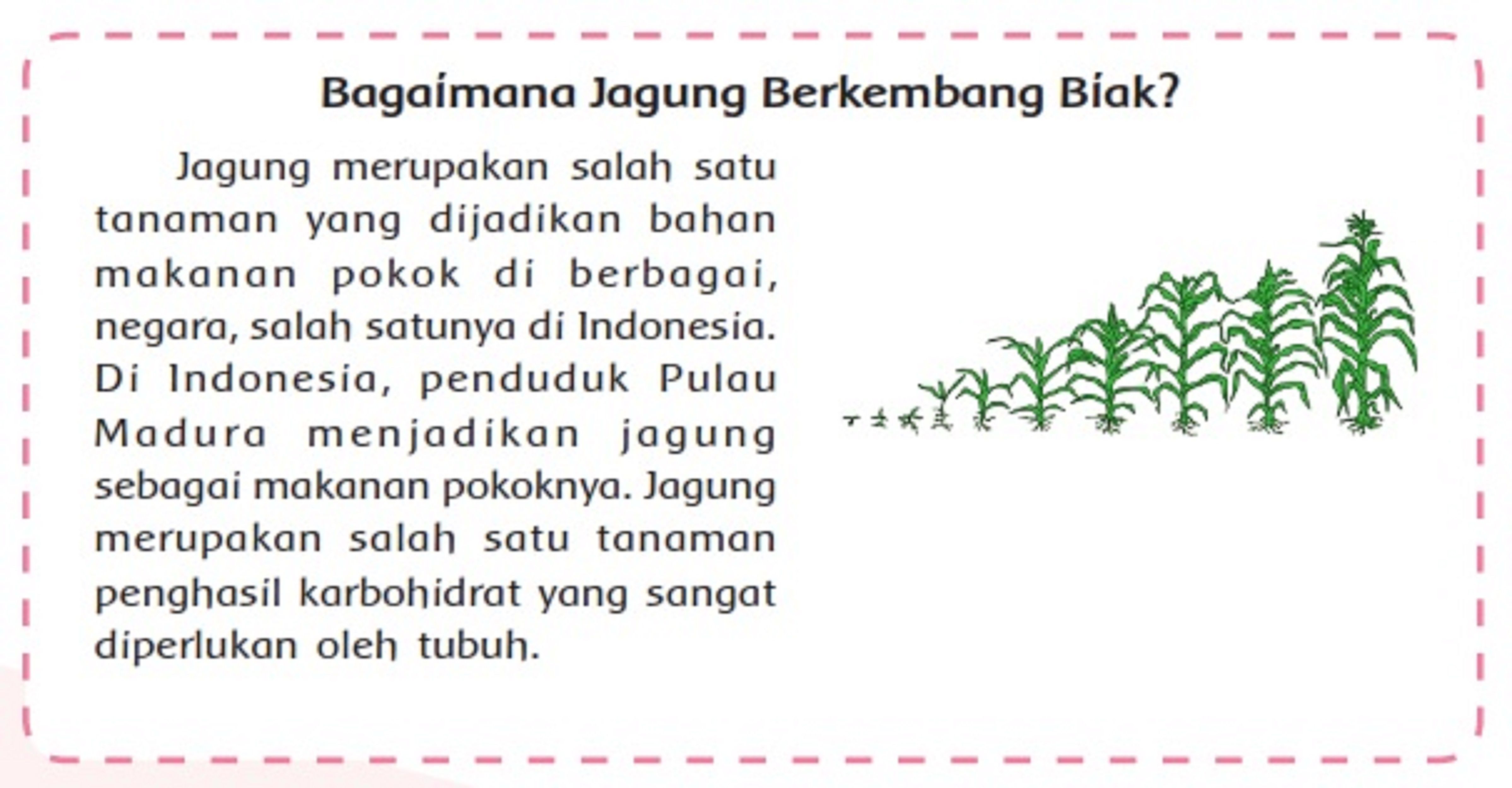 Detail Contoh Ide Pokok Dalam Sebuah Paragraf Nomer 16