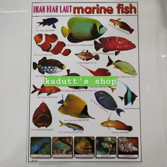 Detail Contoh Ikan Laut Nomer 18