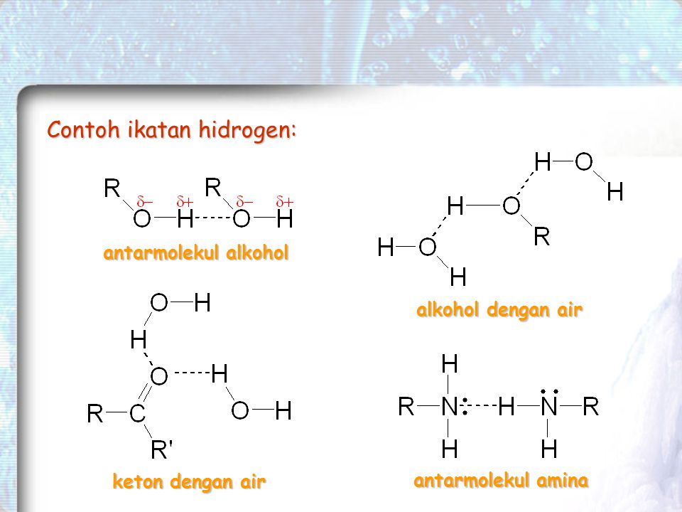 Detail Contoh Ikatan Hidrogen Nomer 27